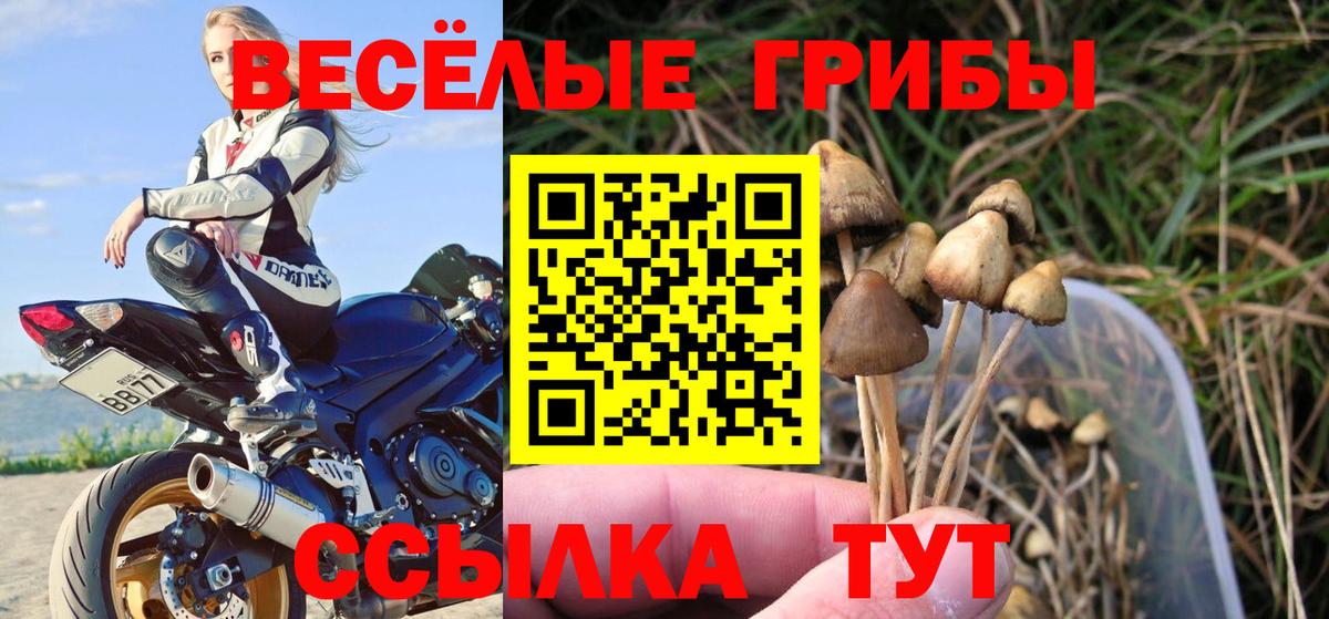 Сосновый Бор  Псилоцибиновые грибы мицелий  Вход с VPN 